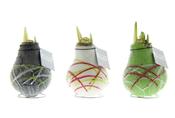 Hippeastrum Waxz® 'Art' Mix Waxed Amaryllis Bulb, 32cm image
