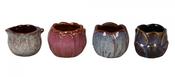 Ceramic 816 'Tulip' Pot Mix 6cm image