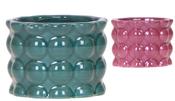 Ceramic Home 'Cotton Green' Mix 6cm image
