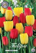 Tulipa 'Van Gogh' Tulip Bulbs 10 Pack image