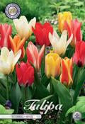 Tulipa 'Botanical Mix' Tulip Bulbs 10 Pack image