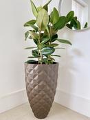 Heraldry Vase image