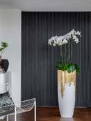 Lux lite glossy partner wh/gold image