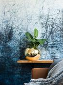 Beth platinum gold xs
