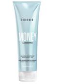 Money laundering conditioner (colour wow) image