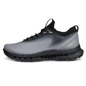 Ecco M Biom C5 Golf Shoes Steel image
