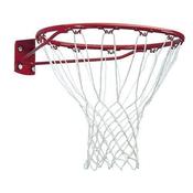 Sureshot Primary Ring and Net image