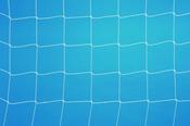 Harrod FP2 White Standard Profile Nets