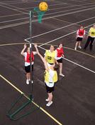Harrod Wheelaway Netball Posts - 10mm Ring
