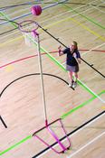Harrod Pink Netball Posts - Freestanding, 16mm Ring