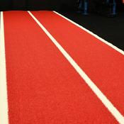 Gym Astro Turf Grass 2m x 20m