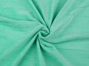 Minky soft plush Mint
