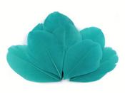 Goose Feathers (10 pieces) - Turquoise