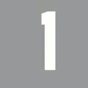 White Vinyl Iron‑On Number 1