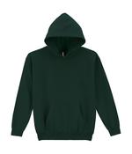 Heavy Blend Youth Hooded Sweat