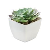 ARTIECHE - Mini artificial plant image