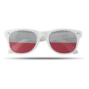 FLAG FUN - Glasses country