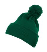 Cuffed Pom Pom Knit Beanie image