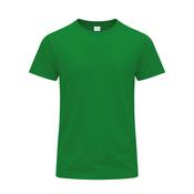 Adult Colour T-Shirt Perkins image