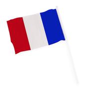 CELEB FLAG FRANCE image