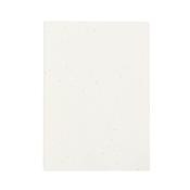 Seeds Notebook Derna