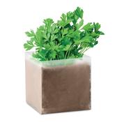PARSELY - Compost with seeds "PARSLEY"