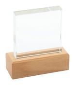 Rectofi - trophy