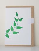 "Ivy" Greeting Card