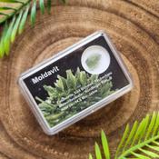 Moldavite - 0.5g image