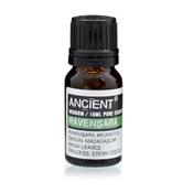 Ravensara Essential Oil image