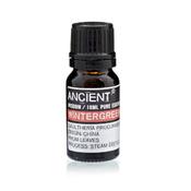 Winter Green Essential Oil image