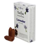 Stamford - Lavender Backflow Incense Cones image