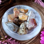 Coral Agate