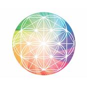 Flower of Life Crystal Grid image