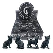 Lucky Black Cat in Gift Bag