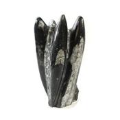 Orthoceras Fossil Sculpture image