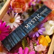 New Moon Incense - Mystic Forest image