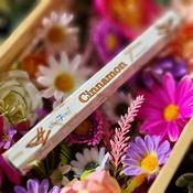 Stamford - Cinnamon Incense Sticks image