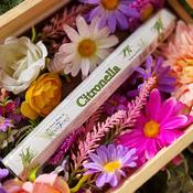 Stamford - Citronella Incense Sticks image