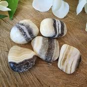 Zebra Onyx