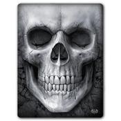 Solemn Skull Throw/Wall Hanging image