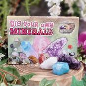 Dig Your Own Minerals Kit image