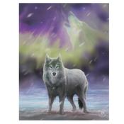 Aurora Canvas image