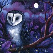 Midnight Owl Greeting Card image