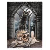 Salem Canvas image