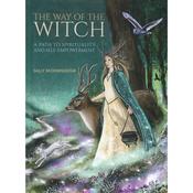 The Way Of The Witch Book image