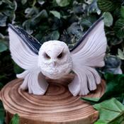 Owl With Book Wings