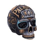 Destiny Palmistry Skull image