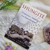 Shungite Book image