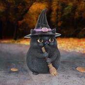 Lucky Black Cat